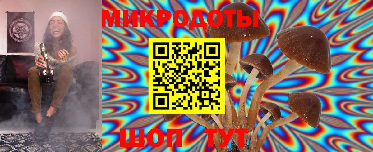 Красноуфимск  Галлюциногенные грибы Psilocybe  Вход с VPN 